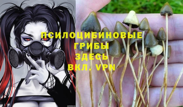 эйфоретик Зерноград