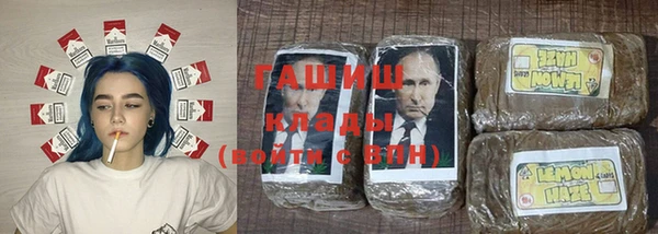 apvp Инсар