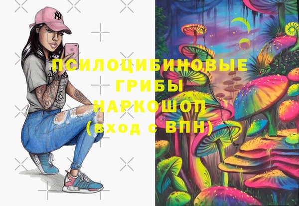 сатива Зеленокумск