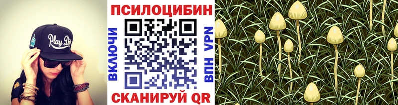 Галлюциногенные грибы мухоморы  Купить где  Ладушкин 